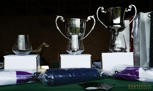 Trophies